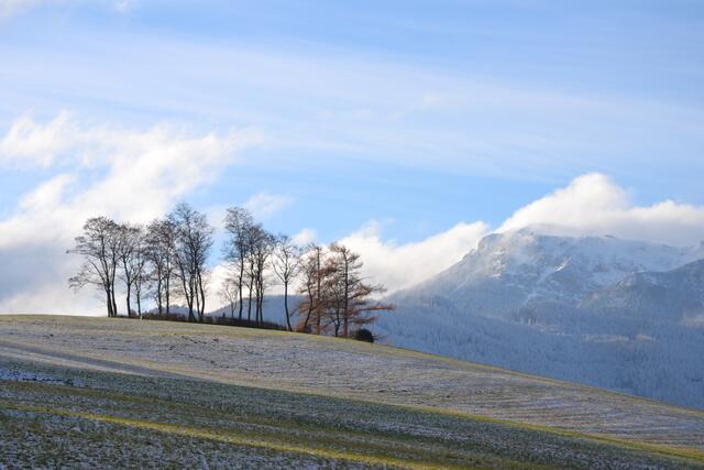Kletschkahöhe und Rax, Heukuppe