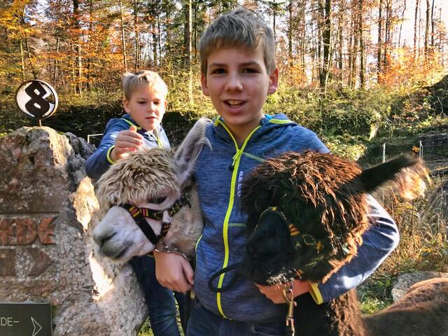 Alpaka-Trekking: ein Highlight für Kinder.