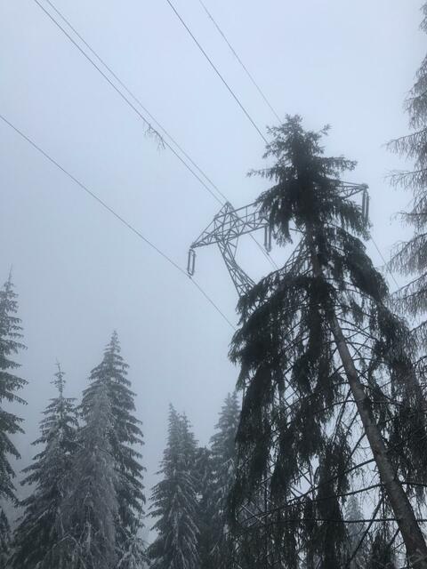 Zahlreiche Bäume waren in Stromleitungen gefallen, stundenlanger Stromausfall war die Folge. Die Kleinwasserkraftwerke im hinteren Ötztal halfen, diese Stromversorgung zu stabilisieren. | Foto: TINETZ