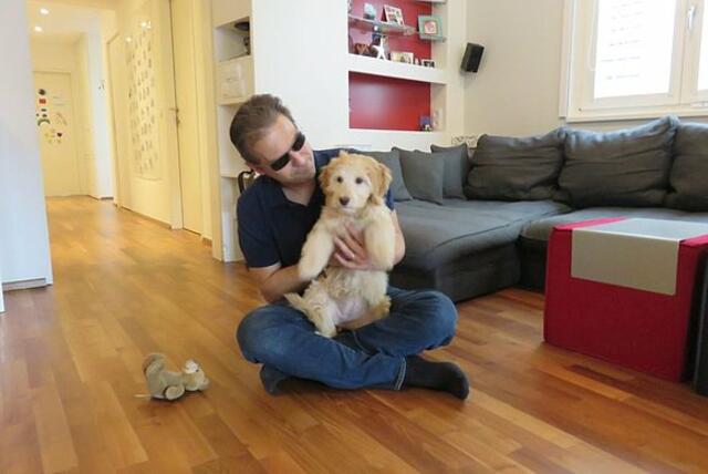 Der Labradoodle Kaja durfte die ersten Monate seines Lebens bereits in der Familie des blinden Familienvaters Michele leben.
