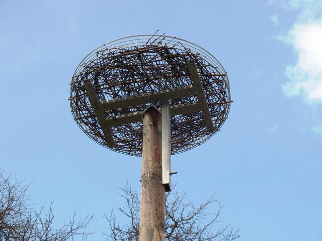 So soll das neue Storchennest in zwölf Metern Höhe am Pfarrhof-Parkplatz aussehen. | Foto: KK