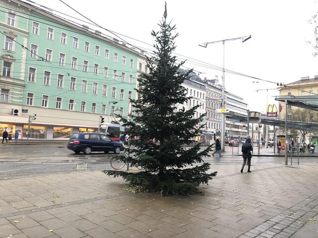 Am Julius-Tandler-Platz versucht ein Christbaum, für festliche Stimmung zu sorgen  – unterstützt durch Beleuchtung wird er nicht.