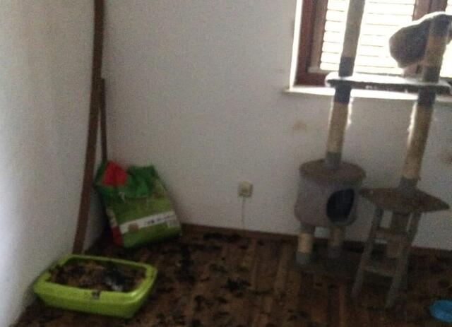 Horrende Zustände fanden die Vermieter vor. Sie kämpfen nun um ein Tierhalteverbot | Foto: Privat