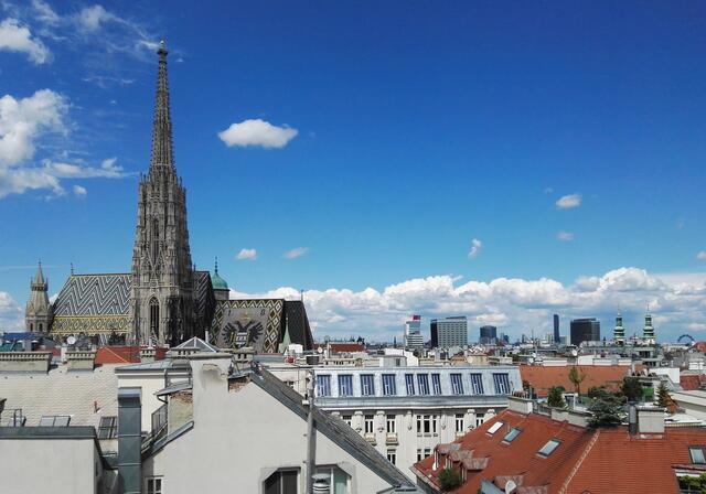 Die 23 Top-Themen aus den 23 Wiener Bezirken: Darüber wurde in der Stadt 2020 heiß diskutiert. | Foto: Norbert Stöckl