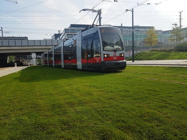 Mit der Verlängerung um vier Haltestellen fährt die Straßenbahnline O nun bis zur Endstation „Bruno-Marek-Allee“. Auf einem Teil der Strecke wurden die Gleise  begrünt. | Foto: BV2