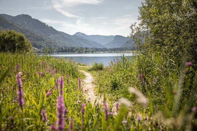 Der Rundwanderweg um den Hintersee in Faistenau.