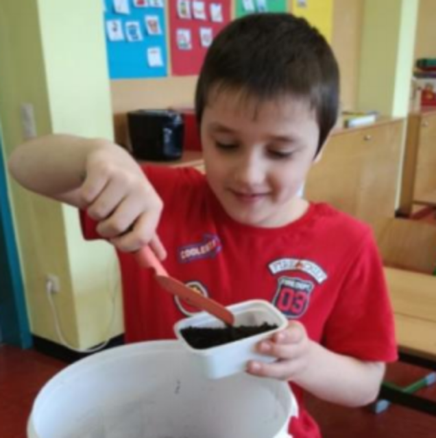 Bekkhan beim Blumen säen in der Schule | Foto: Volksschule Schrems