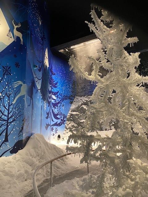 Kristallwelten - die Wunderkammer ... | Foto: Herbert Waltl