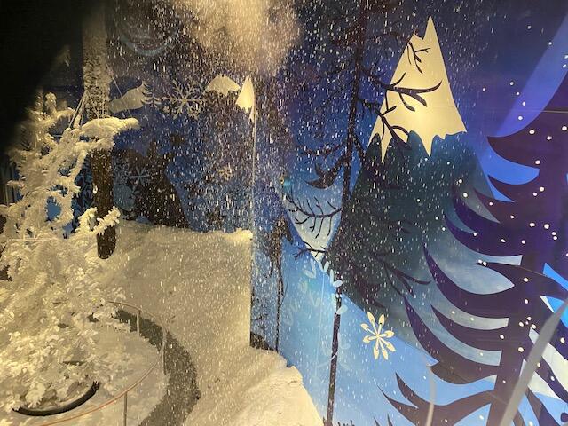 Impressionen aus der neuen Wunderkammer, gekühlt, Schneezauber ... | Foto: Herbert Waltl