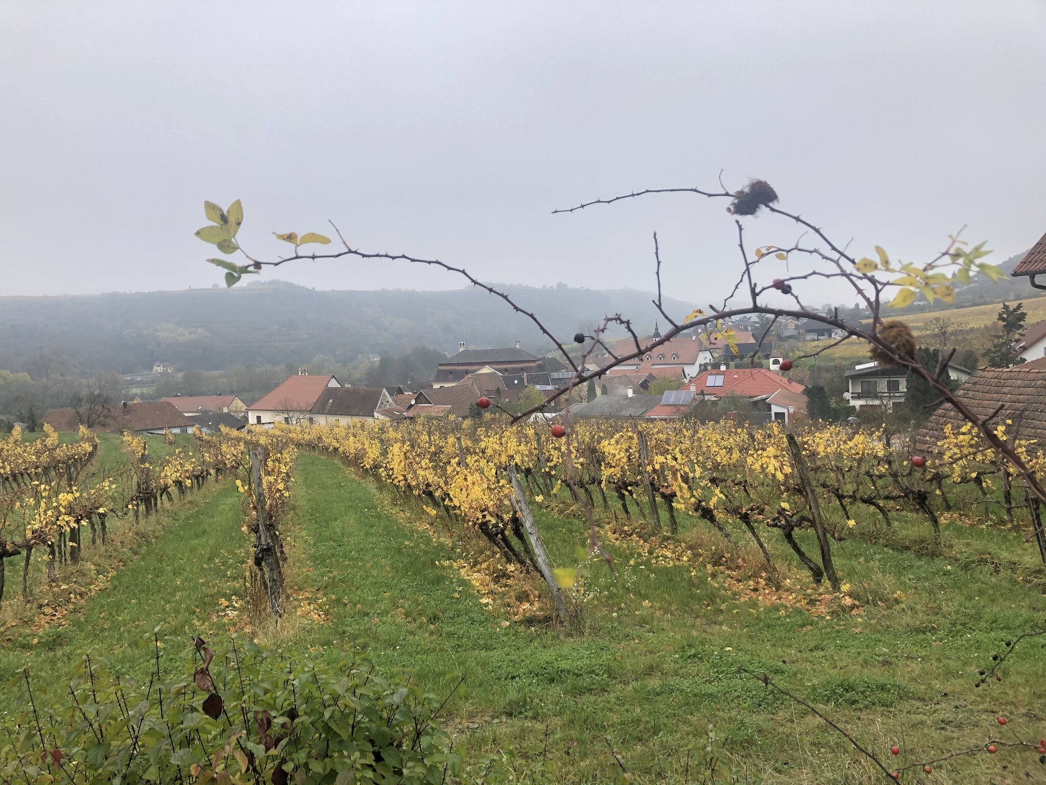 Studie: Krems-Land ist Schlusslicht bei Einkommen - Krems