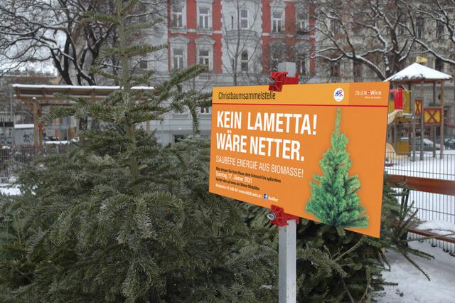 Schmuck hat auf ausgedienten Bäumen nichts verloren. | Foto: MA 48
