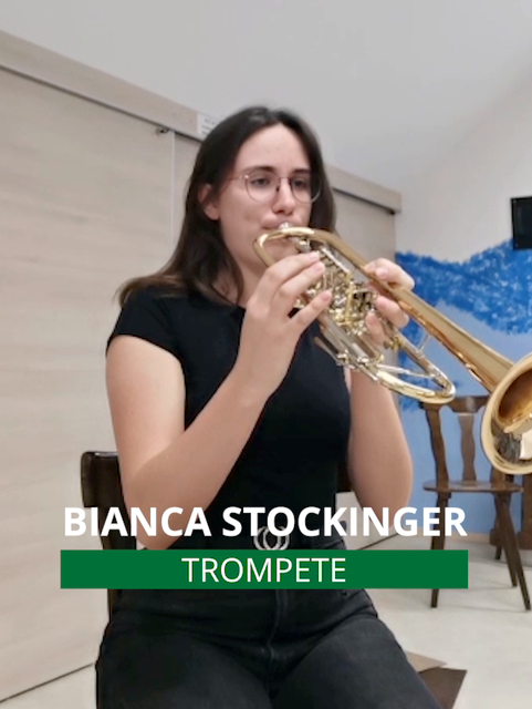 Konzertabsagen: Das Publikum konnte zumindest online dem Können der Musiker lauschen. | Foto: Musikverein Traismauer