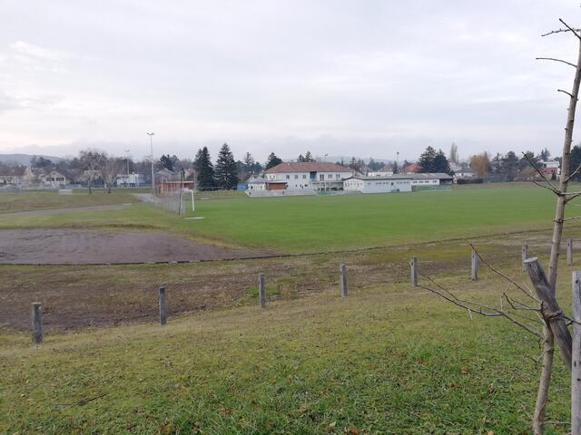 Die Laufbahn am Maurer Sportplatz wurde lange Jahre nicht genutzt. Das soll sich bald ändern. | Foto: Neos