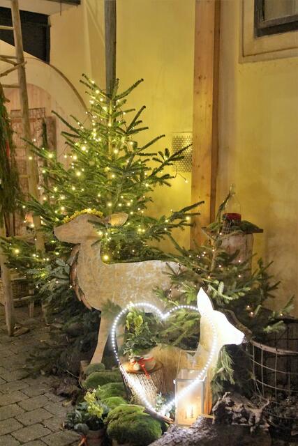 Advent: Perchtoldsdorf - Liesing