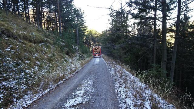 ... und anschließend über eine Forststraße weiter bergauf! ...