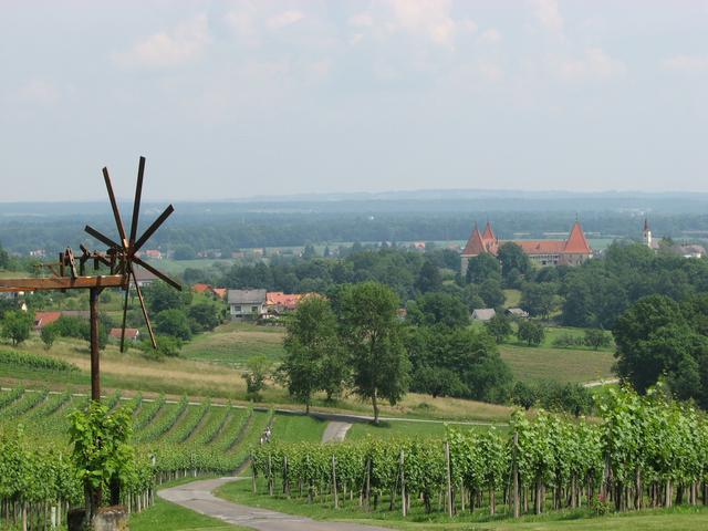 Spielfeld | Foto: WOCHE