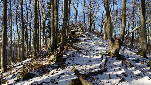 ... in einer leichten Ansteigung wieder hinauf zum Reingupf (1065 m)! ... 