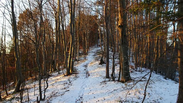 ... in der Abendsonne, ...