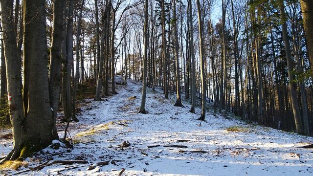 Ein ständiges Auf und Ab ...