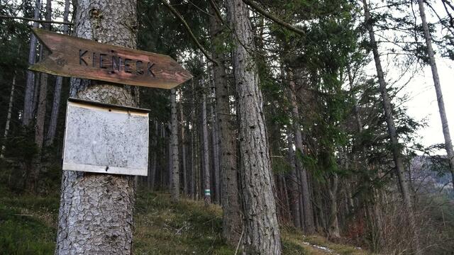 Bei der Abzweigung zum Kieneck führt der Weg ...