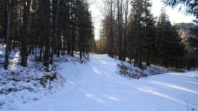 Nach dieser Kreuzung erblickt man bereits ...