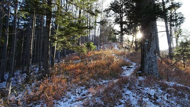 ... in einer gemäßigten Steigung weiter nach oben! ...