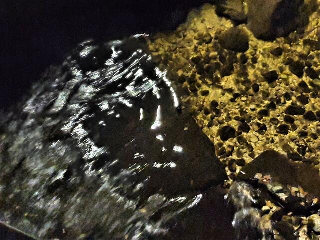 Wilde Wasser aus der "Unterwelt"