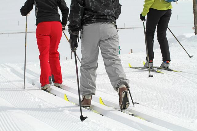 (Symbolfoto)
 | Foto: kara.stock.adobe.com