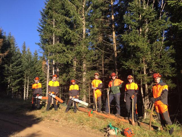 Praxis wird an der LFS Stainz im landwirtschaftlichen und forstwirtschaftlichen Bereich großgeschrieben. | Foto: KK