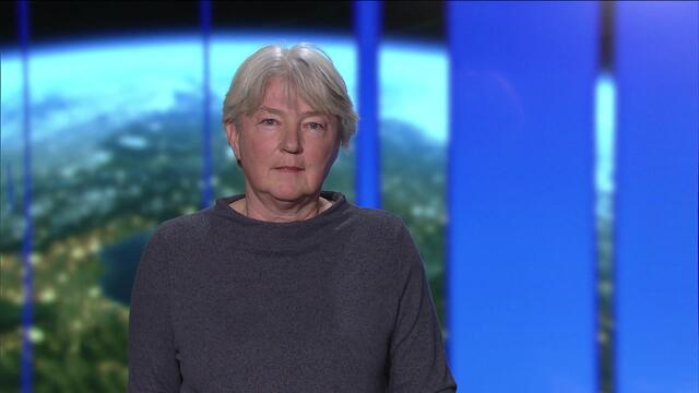 Die Wiener Virologin Elisabeth Puchhammer-Stöckl ist vom Klub der Bildungs- und Wissenschaftsjournalisten zur Wissenschaftlerin des Jahres 2020 gewählt worden. Mit der Auszeichnung wird die Vermittlungsarbeit der 58-jährigen Leiterin des Zentrums für Virologie der Medizinischen Universität Wien vor allem während der Coronavirus-Pandemie gewürdigt.