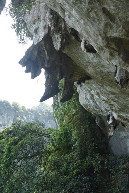 Halongbucht Kalkklippen Liesing