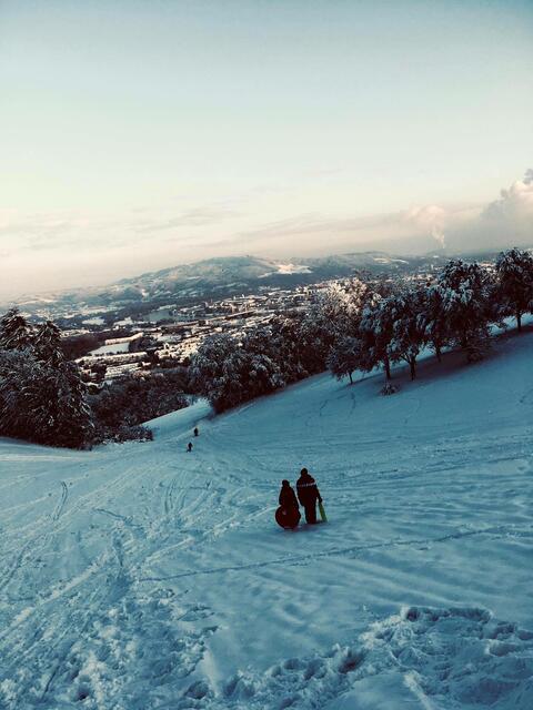 Rodelpartie mit wunderbarer Aussicht am Pöstlingberg. | Foto: E. Koller
