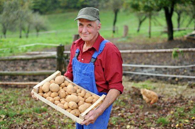 Die oberösterreichischen Bauern wählen am 24. Jänner ihre Vertretung – Briefwahl ist auch möglich. | Foto: Visionsi/Fotolia