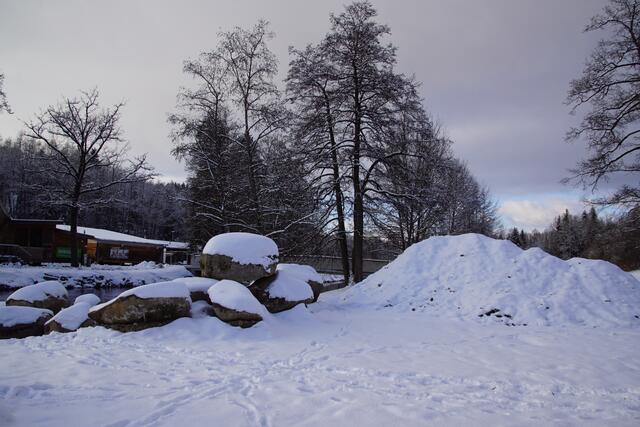 Foto: Helmut Eder
