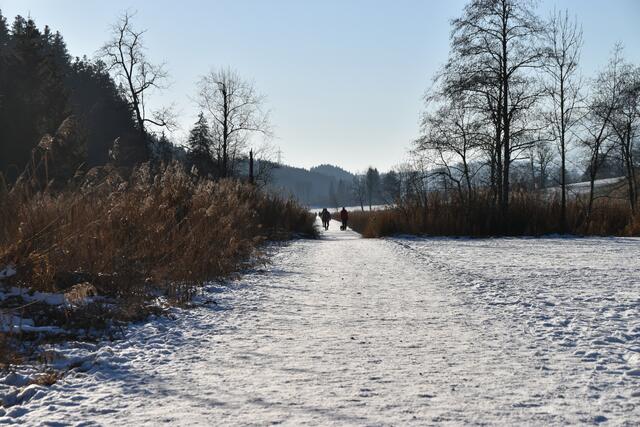 Foto: Barbara Fluckinger