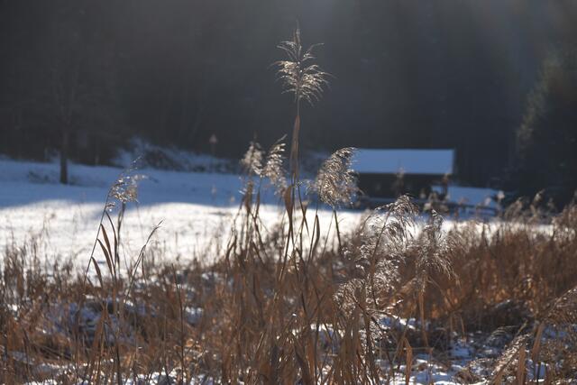Foto: Barbara Fluckinger