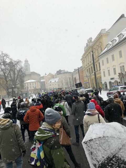 Rund 250 Studierende und Professoren gingen am 12. Jänner gegen die geplante Novelle des Universitätsgesetzes in Linz auf die Straße.