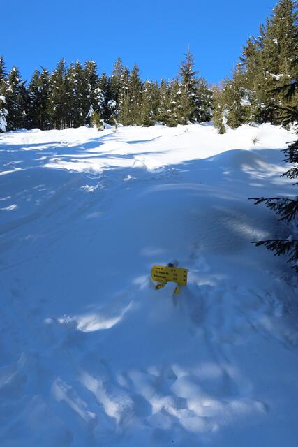 wir bleiben lieber am Weg