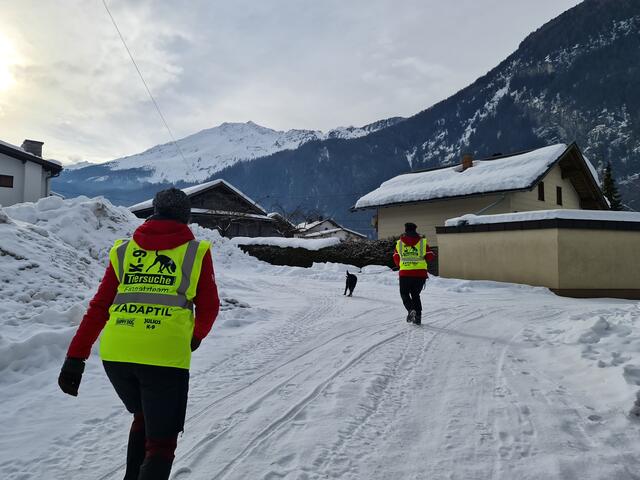 Die Suchhunde hatten sofort eine Witterung aufgenommen. | Foto: K9 Tiersuche Tirol