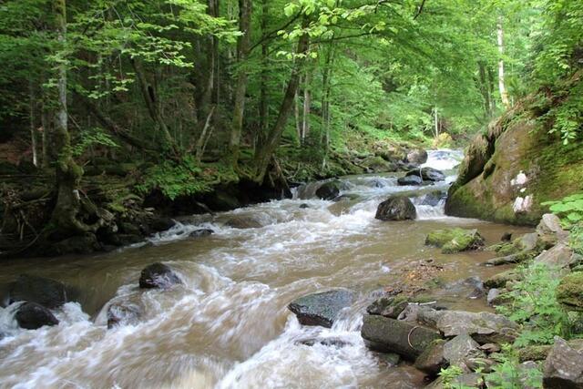 Die fünf Fotografen Günter Knaß, Christian Koller, Simon Mathauer, Heinrich Pansi und Walter Postl haben sich auf unterschiedliche Weise dem Flussjuwel Sulm genähert. | Foto: Walter Postl