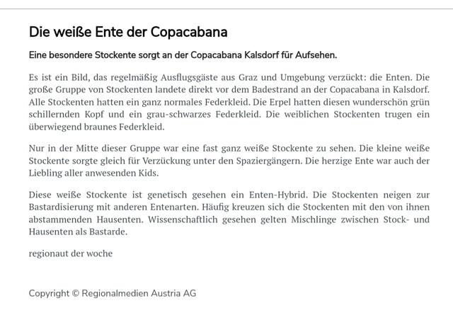 Regionalmedien Austria AG