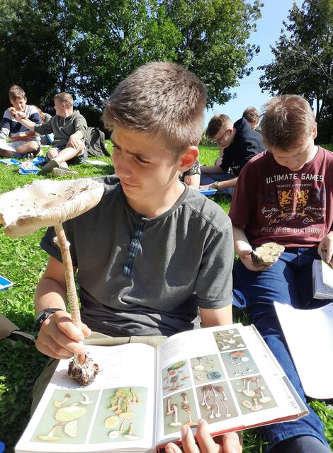 Unterricht in der Natur  | Foto: HLBLA St. Florian