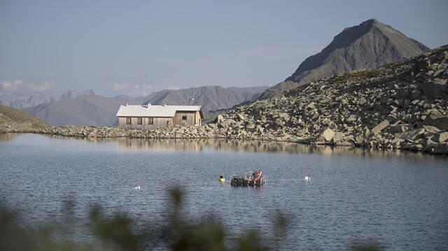 Wissenschaftler*innen haben eine neue Virengruppe im Süßwasser entdeckt.