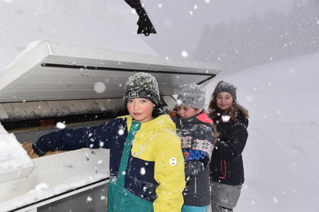 Manuel, Hannah und Lana helfen am Bauernhof fleißig mit. Hier holen sich die Kinder gerade die gelegten Eier.