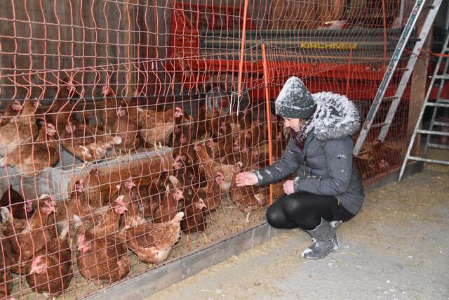 Monika Gansterer bei den Hühnern. 