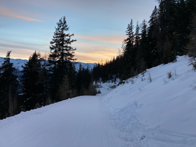 Derzeit hat die Rodelbahn noch geöffnet. Kommt es erneut zu Verstößen, wird sie jedoch gesperrt, warnt Landeshauptmann Wilfried Haslauer.