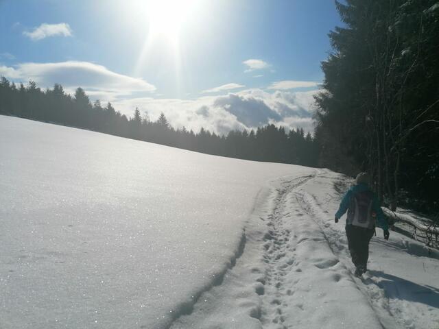 Die WOCHE wandert: diesmal in glitzerndem Schnee und bei traumhafter Fernsicht auf dem Masenberg.