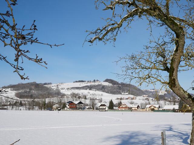 im Hintergrund der Grasberg bei Altmünster