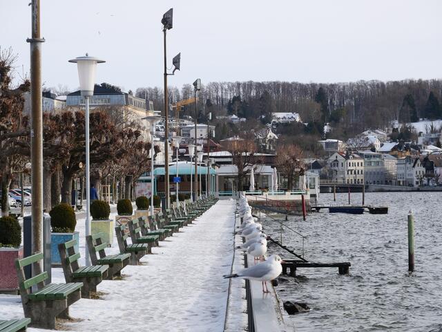die winterliche Esplanade in Gmunden