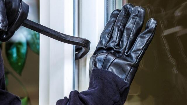 25 hochwertige Fahrräder wurden aus einem Fahrradgeschäft in Moosburg gestohlen. Ein Täter wurde geschnappt, ein weiterer flüchtete...